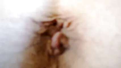 fumar manzana de gallo porno mexicanas real