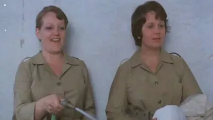 Comprender el Lujo insesto mexicano